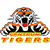 Centrum Tigers vs Tromso Storm - Predictions, Betting Tips & Match Preview