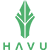HAVU